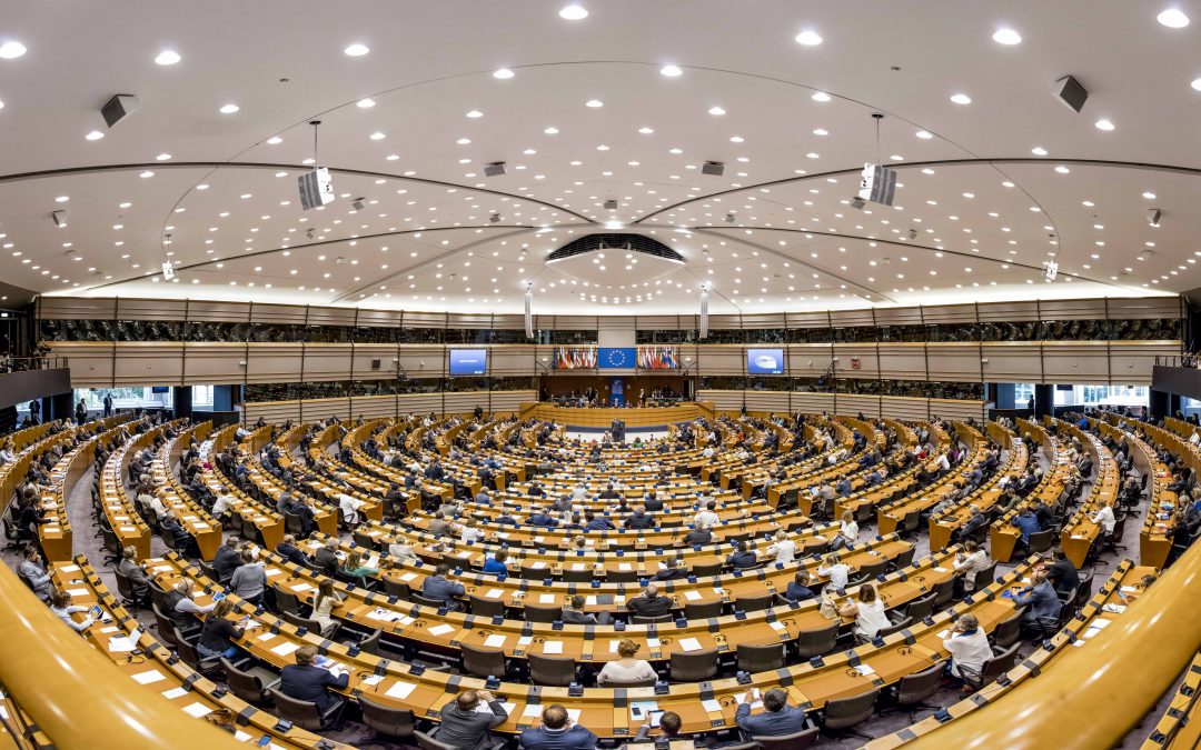 Какъв трябва да е българският евродепутат и какви проблеми трябва да решава? (март 2019)
